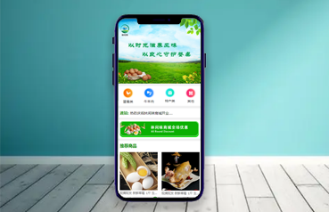 內蒙古網站優(yōu)化,林間味